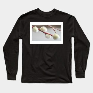 Pussy Willow Greeting Card Long Sleeve T-Shirt